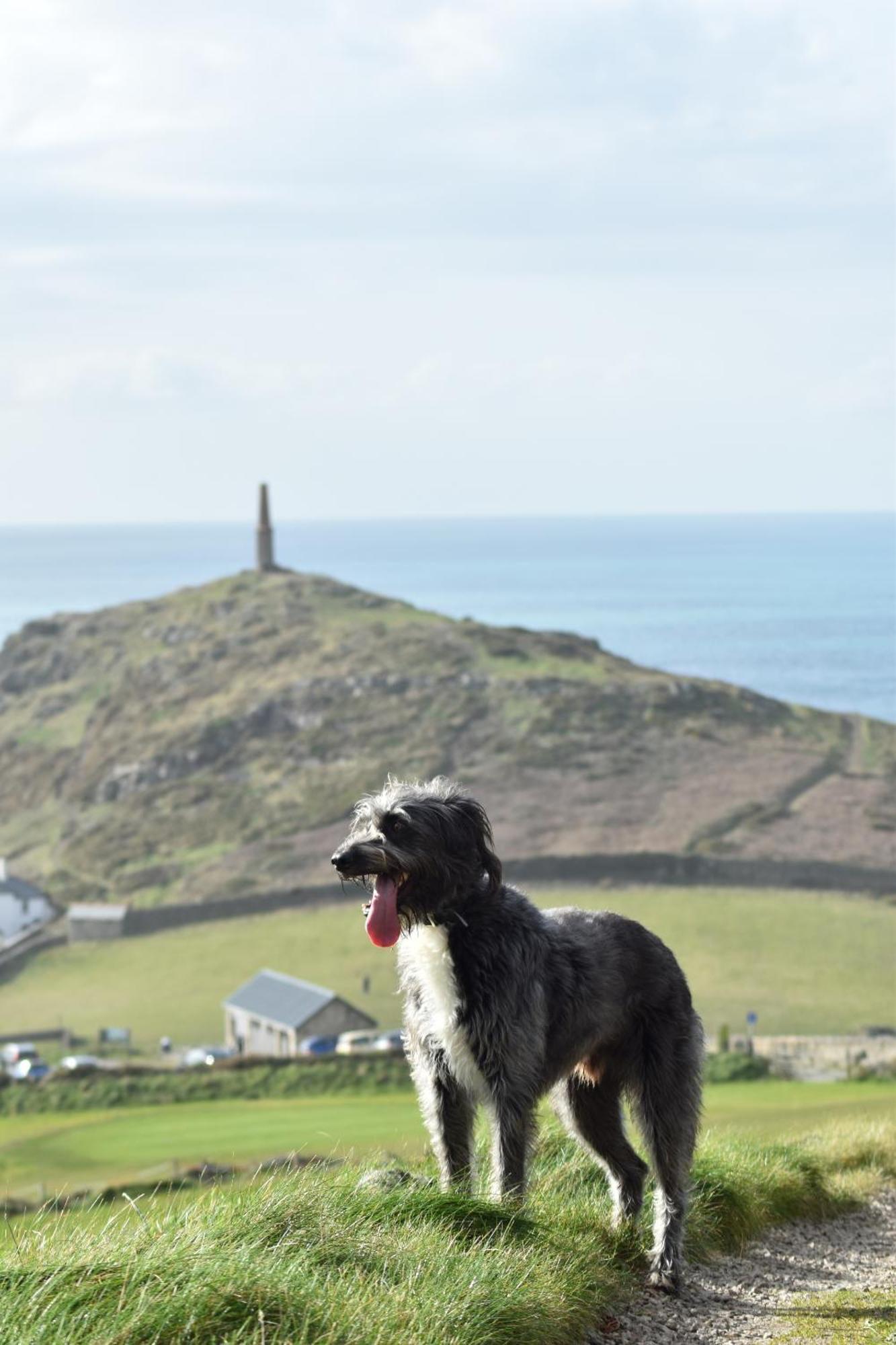 Cape Cornwall Club St Just Exteriör bild
